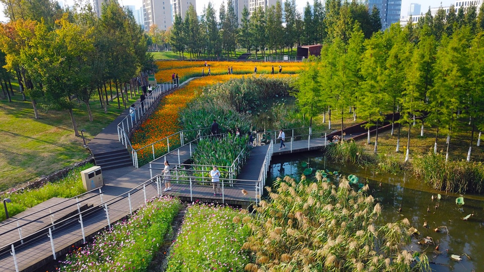9Ningbo-Eastern-New-Town-Ecological-Corridor-Phase-III-by-Turenscape-960x540.jpg